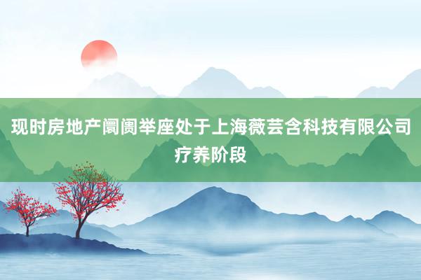 现时房地产阛阓举座处于上海薇芸含科技有限公司疗养阶段