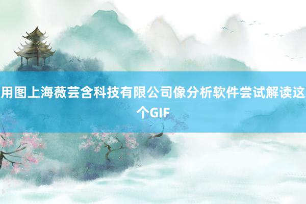 用图上海薇芸含科技有限公司像分析软件尝试解读这个GIF