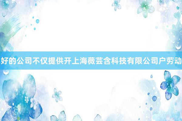 好的公司不仅提供开上海薇芸含科技有限公司户劳动